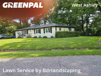 Lawn Care nearby Charleston, SC, 