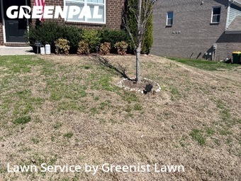 Grass Cutting nearby Spring Hill, TN, 