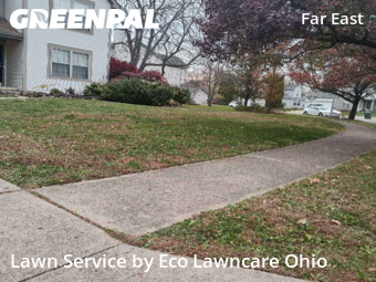 Yard Care in Pickerington, 43147, Property Maintenance by Eco Lawncare Ohio, work completed in Nov , 2025