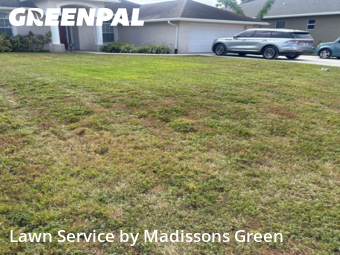 Yard Upkeep in West Palm Beach, 33413, Yard Work by Madissons Green, work completed in Nov , 2025