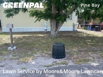 Lawn Maintenance nearby St. Petersburg, FL, 