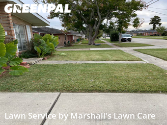 Lawn Cut nearby Kenner, LA, 