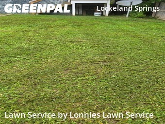 Lawn Cut nearby Nashville, TN, 