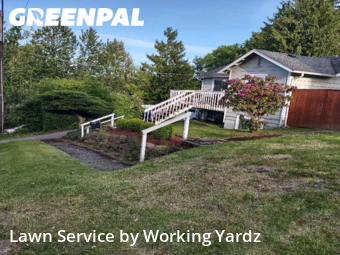 Lawn Mow nearby Seattle, WA, 