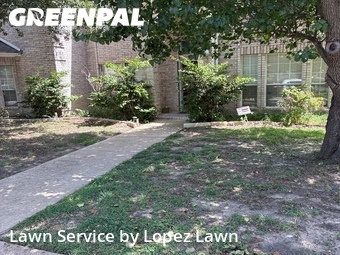 Lawn Mowing nearby Lewisville, TX, 
