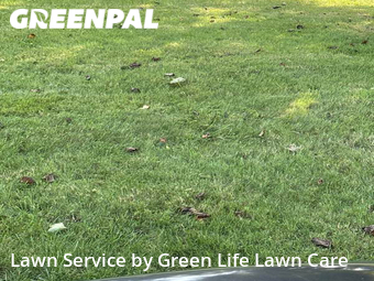 Lawn Mowing nearby Fairfield, CT, 