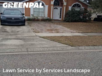 Grass Cut nearby Orlando, FL, 