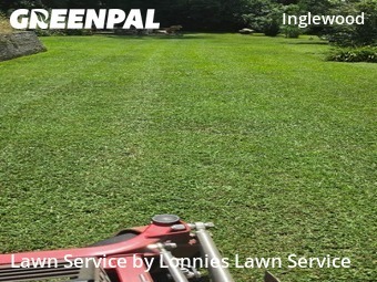 Lawn Cut nearby Nashville, TN, 