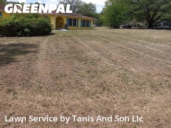 Yard Cutting nearby Gainesville, FL, 