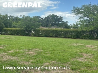 Yard Cutting nearby Parrish, FL, 