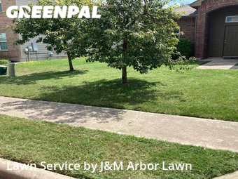 Lawn Care Service nearby Hutto, TX, 