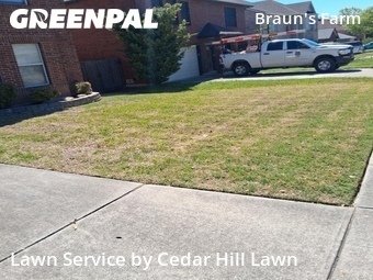 Lawn Cut nearby San Antonio, TX, 