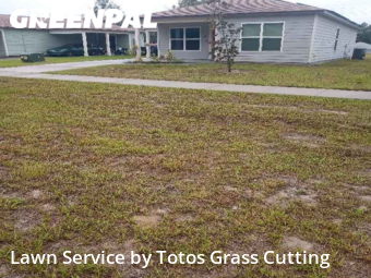 Lawn Mowing Service nearby South Apopka, FL, 
