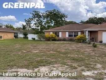 Grass Cut nearby Spring Hill, FL, 