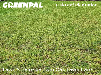 Yard Mowing nearby Middleburg, FL, 