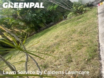 Lawn mowed in West Palm Beach, 33403