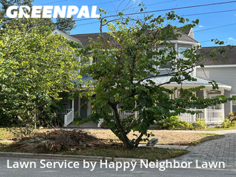 Lawn Cut nearby Tampa, FL, 