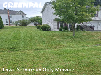 Yard Mowing nearby Albany, NY, 