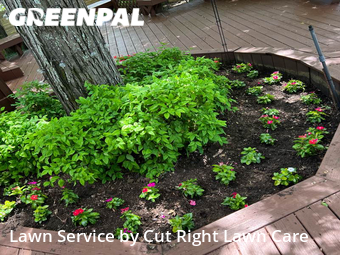 Grass Cutting nearby Smyrna, TN, 