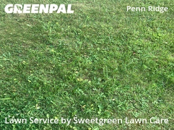 Lawn Cut nearby Pittsburgh, PA, 