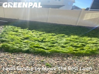 Lawn Mowing Service nearby Denver, CO, 