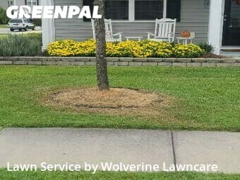 Lawn Mow nearby Summerville, SC, 