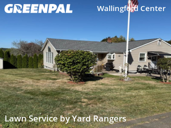 Lawn Cutting in Wallingford, 6492, Front Yard Mowing by Yard Rangers, work completed in Nov , 2025