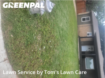 Lawn Mow nearby Richardson, TX, 