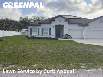 Yard Cutting nearby Spring Hill, FL, 