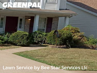 Lawn Cutting nearby St. Louis, MO, 