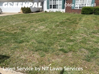 Yard Cutting nearby Charlotte, NC, 