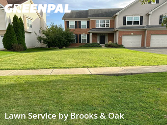Yard Cutting nearby Bolingbrook, IL, 