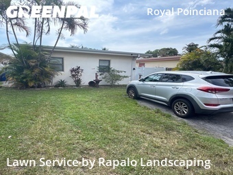 Lawn Mowingin Hollywood,33020,Lawn Service by Rapalo Landscaping, work completed in Jul , 2026
