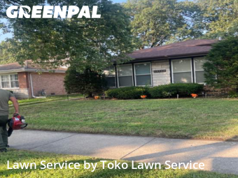 Yard Cutting nearby Dolton, IN, 