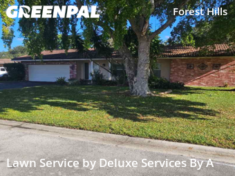 Lawn Work in Coral Springs, 33065, Grass Services by Deluxe Services By A, work completed in Nov , 2025