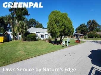 Lawn Mow nearby Kissimmee, FL, 