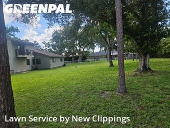 Grass Cut nearby Safety Harbor, FL, 