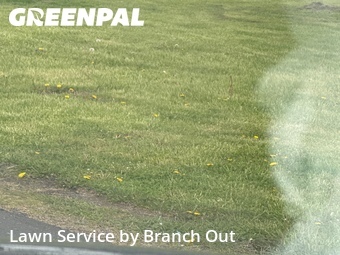 Lawn Mow nearby Kenmore, NY, 