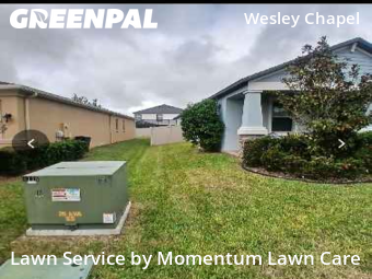 Yard Cutting nearby Wesley Chapel, FL, 