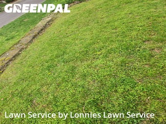 Lawn Mowing nearby Nashville, TN, 
