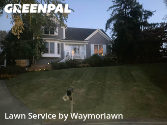 Yard Cutting nearby Louisville, KY, 