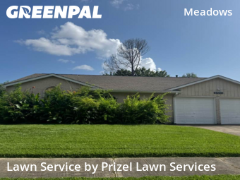 Lawn Cuttingin Stafford,77477,Lawn Care Service by Prizel Lawn Services, work completed in Nov , 2025