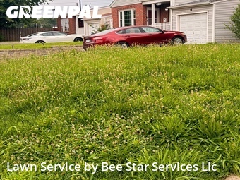 Affordable Landscaping Maintenance Services In St. Louis,63123,Landscapers by Bee Star Services Llc, work completed in Jun , 2026