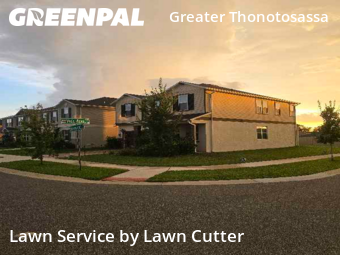 Lawn Maintenance nearby Seffner, FL, 