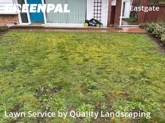 Landscaper In Bellevue,98006,Landscapers by Quality Landscaping, work completed in Apr , 2026