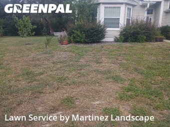 Lawn Maintenance nearby Lady Lake, FL, 