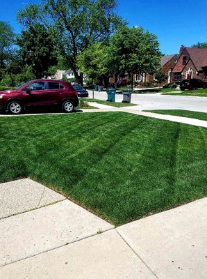 Local Lawn care service near me in Fox Point, WI, 53217