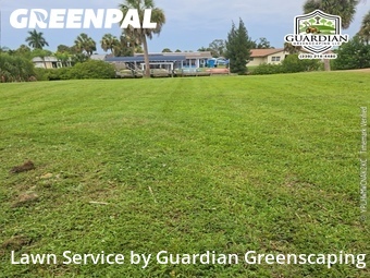 Lawn Cutting nearby Port Charlotte, FL, 