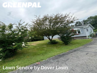 Yard Mowing nearby Dover, DE, 