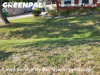 Lawn Mow nearby Tampa, FL, 